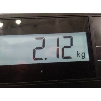 Стеклоподъемник электрический двери задней левой Volkswagen Bora (-) 2000 ,1J5839461A