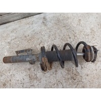 Стойка передняя в сборе Ford Transit TT9 2006-2014 1466426