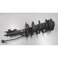 Амортизатор подвески перед. левая Nissan X-Trail (T31) 2007-2014 2012 E43033UB1A