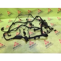 Проводка двигателя MERCEDES E-CLASS W211 2006 a6461502556, a0005463580