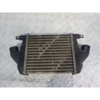 Интеркулер Nissan CabStar 2008-2011 14461MA70A