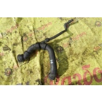 патрубок радиатора Volkswagen Passat B5 2002 8D0121101AF