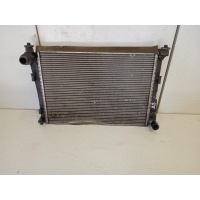 Радиатор основной Ford Fiesta MK5 2001-2008 1325831