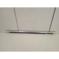 Молдинг двери Audi S8 D3 2006, 2007, 2008, 2009, 2010 4E0853763G2ZZ