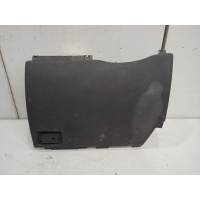 Накладка декоративная BMW X5 E53 2000, 2001, 2002, 2003, 2004, 2005, 2006, 2007 51458244293