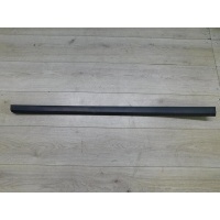 Молдинг двери передней левой Volkswagen Passat B6 2005-2010 3C0854939A9B9