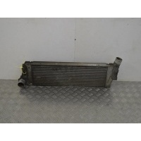 Интеркулер Renault Scenic 2 (2003-2009) 2006 8200115540