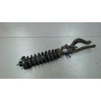 Амортизатор подвески перед. Honda Civic 1995-2001 1999 51605ST3E11
