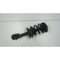 Амортизатор подвески перед. Renault Megane 1996-2002 2002 543021082R