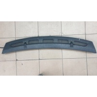 Жабо впуск капота merceds w245