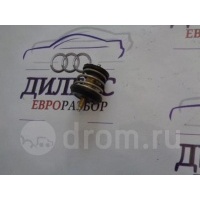 термостат VW Passat (B6) 2005-2010 06H121113B