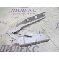 петля капота VW Golf VI 2009-2012 2011 1k0823301c