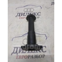 болт крепления запасного колеса Audi A6 (C6 4F) 2004-2011 2010 8E0803899B