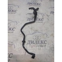 трубка вакуумная VW Passat (B6) 2005-2010 2008 3C0612041AP