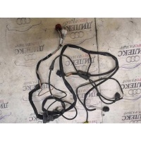 проводка (коса) Audi A6 (C6 4F) 2004-2011 4f1971076j