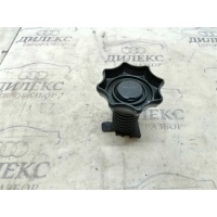 болт крепления запасного колеса VW Passat CC 2008-2017 2008 3C0803899