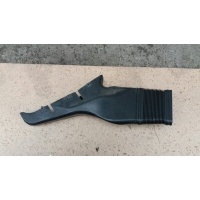 Воздухозаборник (наружный) VW Passat B5+ 2003 3B0129617G