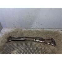 Накладка декоративная (дождевик) перед. Lexus GS 2005-2012 2006 5570830100