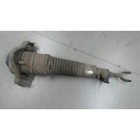 Амортизатор подвески перед. Audi Allroad quattro 2006-2008 4F0616040AA