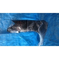 крыло MITSUBISHI OUTLANDER CW5W 5220C671