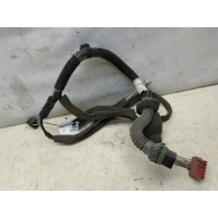 Проводка двери задней левой renault Scenic 1999-2003 8200102906