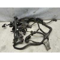 Проводка подкапотная (коса) opel Corsa D 2006> 55556250