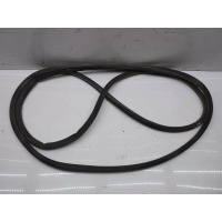 Уплотнитель двери задней правой volkswagen Passat (B6) 2005-2010 3C5839702D
