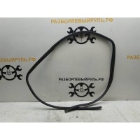 Уплотнитель проема двери задней левой toyota Camry (XV40) 2006-2011 6233233090B0
