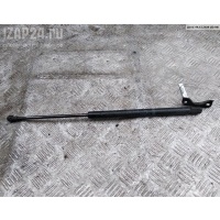 Амортизатор крышки (двери) багажника Левая Toyota Corolla (2002-2007) 2004 68960-0W170