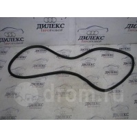 уплотнитель двери Audi A6 (C6 4F) 2004-2011 2008 4F9833721C