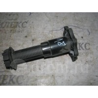 гайка крепления запасного колеса Audi A6 (C6 4F) 2004-2011 2005 8E0803899B