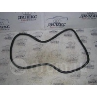 уплотнитель двери Audi A6 (C6 4F) 2004-2011 2006 4F5833721C