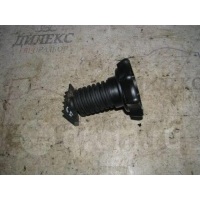 болт крепления запасного колеса VW Passat (B6) 2005-2010 2008 3C0803899