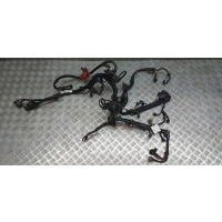 Проводка моторная Honda Civic VIII 2005-2011 32110rnht52