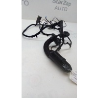 Проводка двери задней BMW X5 II E70 2006-2013 61129203309