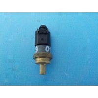 Датчик температуры VOLKSWAGEN Passat B7 2011-2015 06A919501A