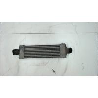 Радиатор интеркулера Ford Transit 2006- 2007 1423732