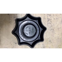 болт крепления запасного колеса VW Passat (B7) 2011-2015 27.06.2012 3C0803899