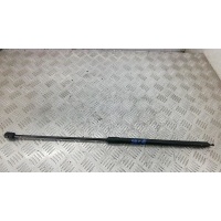 Амортизатор капота RENAULT MEGANE (2008-0000) 2009 654710003R