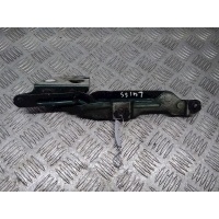 Петля крышки (двери) багажника Volkswagen Passat 5 (1997-2000) 2000 3B5827301