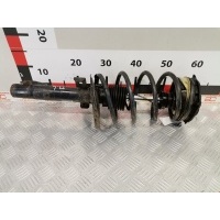 Стойка амортизатора переднего левого Renault Megane 2 (2003-2009) 2007 8200663653