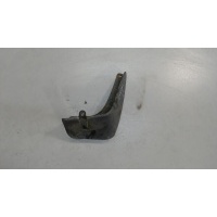 Брызговик, перед. правая Renault Espace 4 2002- 2003 8200102541