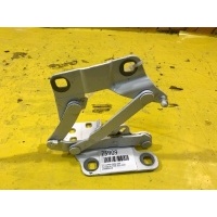 Петля двери Перед. Mercedes ML, GLE, GL, GLC W166, X166 2011-2019 a1668800128