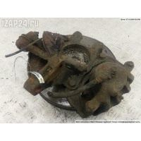 Кулак (корпус ступицы) передний правый Hyundai Tucson (2004-2010) 2004 517162E100