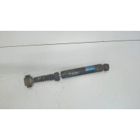Амортизатор подвески, зад. левая=правая Renault Scenic 2003-2009 2005 8200415734