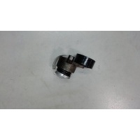 Натяжитель ремня ГРМ Renault Clio 2009-2012 2010 117501113R