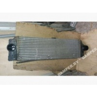 Интеркулер Mercedes Sprinter W906 2013 a9065010201