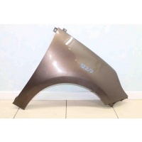 Крыло переднее правое Renault Scenic 3 2009-2015 Пластик. 631004270R