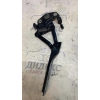 петля капота VW Passat (B6) 2005-2010 2007 3C0823301D