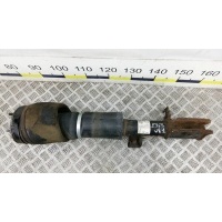 Пневмоподушка передняя LAND ROVER RANGE ROVER (2005-2007) 2006 RNB000750